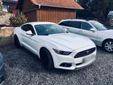 Ford Mustang 2.3 EcoBoost - 20 Zoll / Scheckheft - Ford: 20m