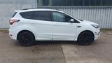 Ford Kuga ST-Line, Navi, Kamera - Ford Kuga: Weiß