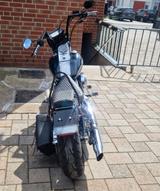 Harley-Davidson Fxst Softeil  - Angebote