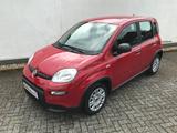 Fiat Panda MY24 1.0 GSE Hybrid Klimaanlage - Fiat Panda Gebrauchtwagen in Aachen