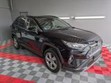 Toyota RAV 4 RAV4 Hybrid 4x4 Team Deutschland - Toyota RAV 4 in Braunschweig
