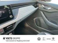 Skoda Kamiq - Vorschau Bild 13