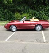 Alfa Romeo Spider, Rostfrei, Top Zustand - Alfa Romeo aus 1992