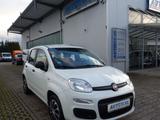 Fiat Panda Easy 1.2 KLIMA/1.Hand/Servo/EUR6 - Fiat Panda Gebrauchtwagen in Mannheim