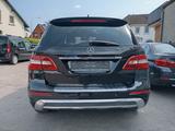 Mercedes-Benz ML 350 AMG Distr. Nachts. Panora. Totw. Spurha. - Mercedes-Benz ML 350 Gebrauchtwagen in Hamburg