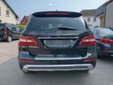 Mercedes-Benz ML 350 AMG Distr. Nachts. Panora. Totw. Spurha. - Mercedes-Benz ML 350 aus 2012