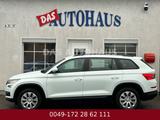 Skoda Kodiaq Active 189000 KM