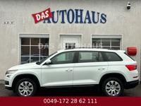 Skoda Kodiaq Active 189000 KM