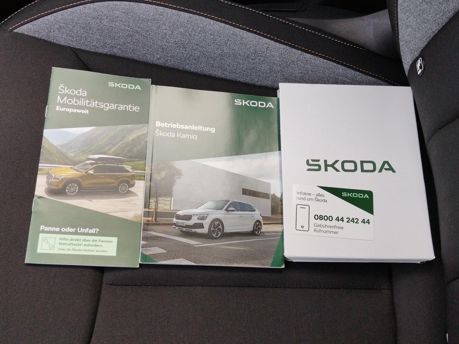 Skoda Kamiq 1.0 TSI Balance DSG ACC*AUT*Fernlichtass., миниатюра 30