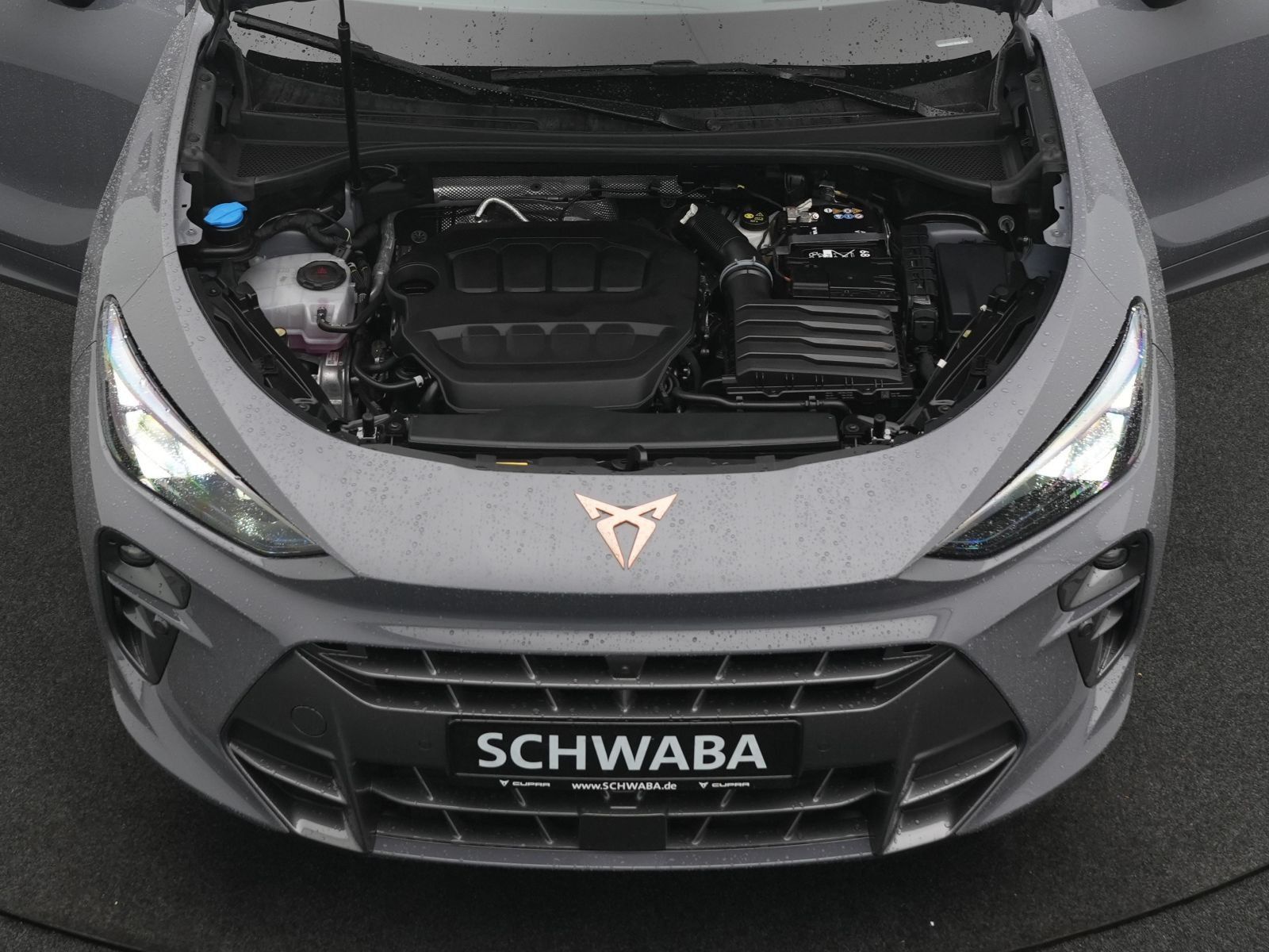 Cupra Terramar - Bild 29