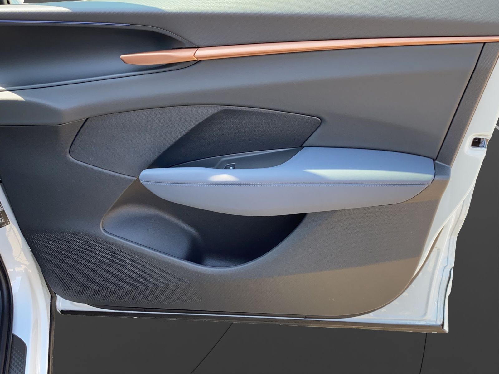 Cupra Terramar - Bild 17