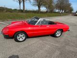 Alfa Romeo Spider - gebrauchte Alfa Romeo Spider aus dem Jahr 1977