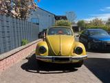 Volkswagen Käfer Hoffmann Cabrio Umbau - Volkswagen Käfer: Umbau