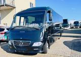 Mercedes-Benz Beluga/ Sprinter / Tourino/ 411 HD / 818/ Vario - Mercedes-Benz 411