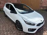 Kia cee'd / Ceed TÜV/Service NEU - gebrauchte Kia cee'd / Ceed aus dem Jahr 2014