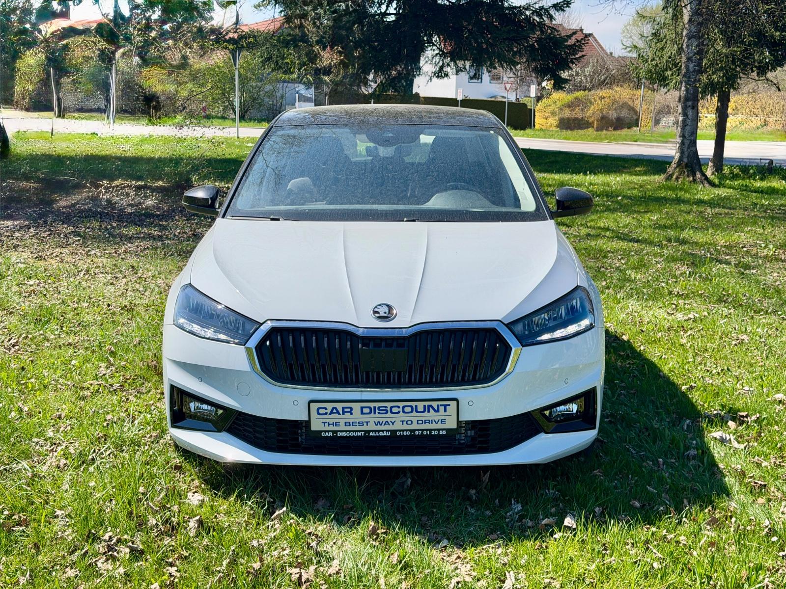 Skoda Fabia Colour Concept DSG AHK · 5 Jahre Garantie