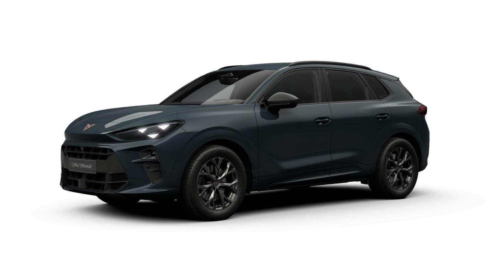 Cupra Terramar - Bild 2