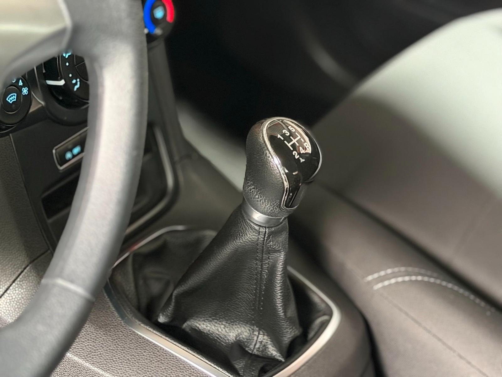 Ford Fiesta Edition Winterpaket USB PDC