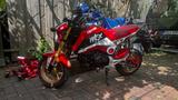 Honda MSX-125 Grom - HONDA MSX 125