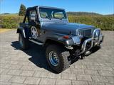 Jeep YJ 4.0 Super Zustand H Kennzeichen - Jeep Wrangler: Yj