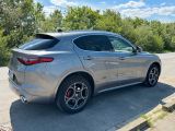 Alfa Romeo Stelvio 2.0 Turbo 16V 206kW Super AT8-Q4 Super - Alfa Romeo: Schiebedach
