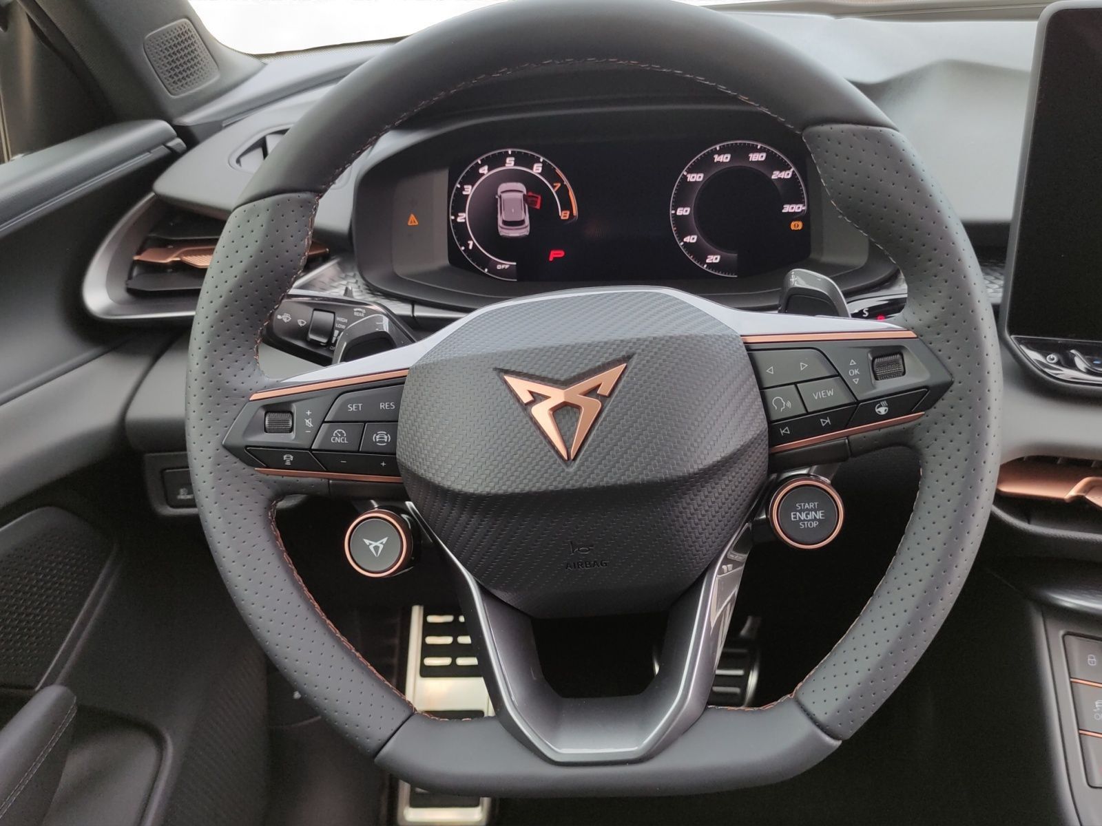 Cupra Terramar - Bild 11