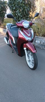 Honda SH 125 Mode - neuwertig - HONDA SH MODE 125