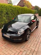 Volkswagen Beetle 1.2 TSI BMT  Sondermodel Club - Volkswagen Beetle: Club