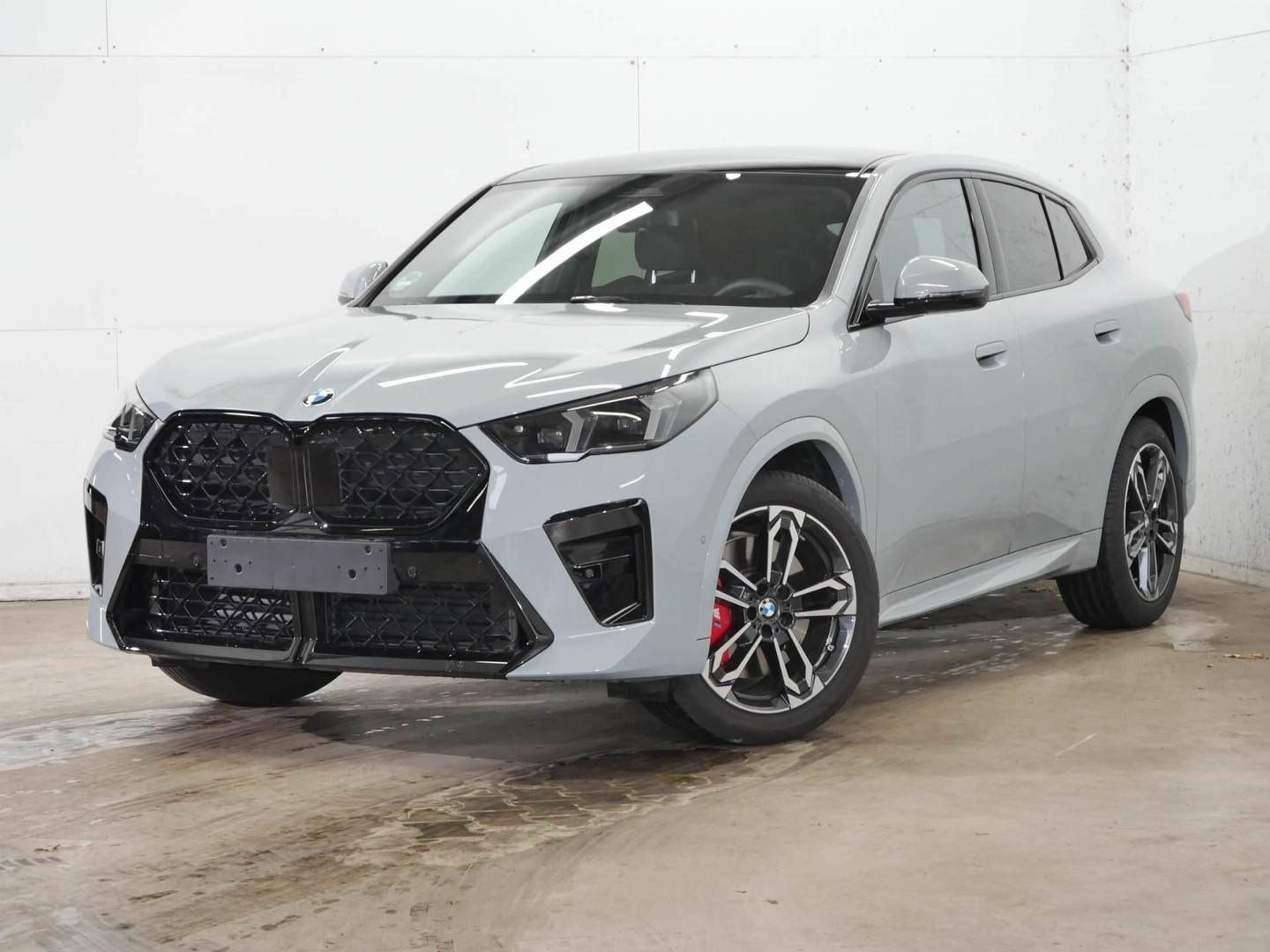 BMW X2 sDrive18d Glasdach M Sportpaket Pro 19 M L foto 1