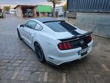 Ford Mustang 5.0 Ti-VCT V8 GT GT - Ford Mustang Gebrauchtwagen in Stuttgart