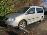 Volkswagen Caddy Maxi Life Gewinner Caddy - Volkswagen Caddy: Gewinner