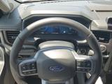 Ford F 150 Lightning Flash  - Ford: Lightning