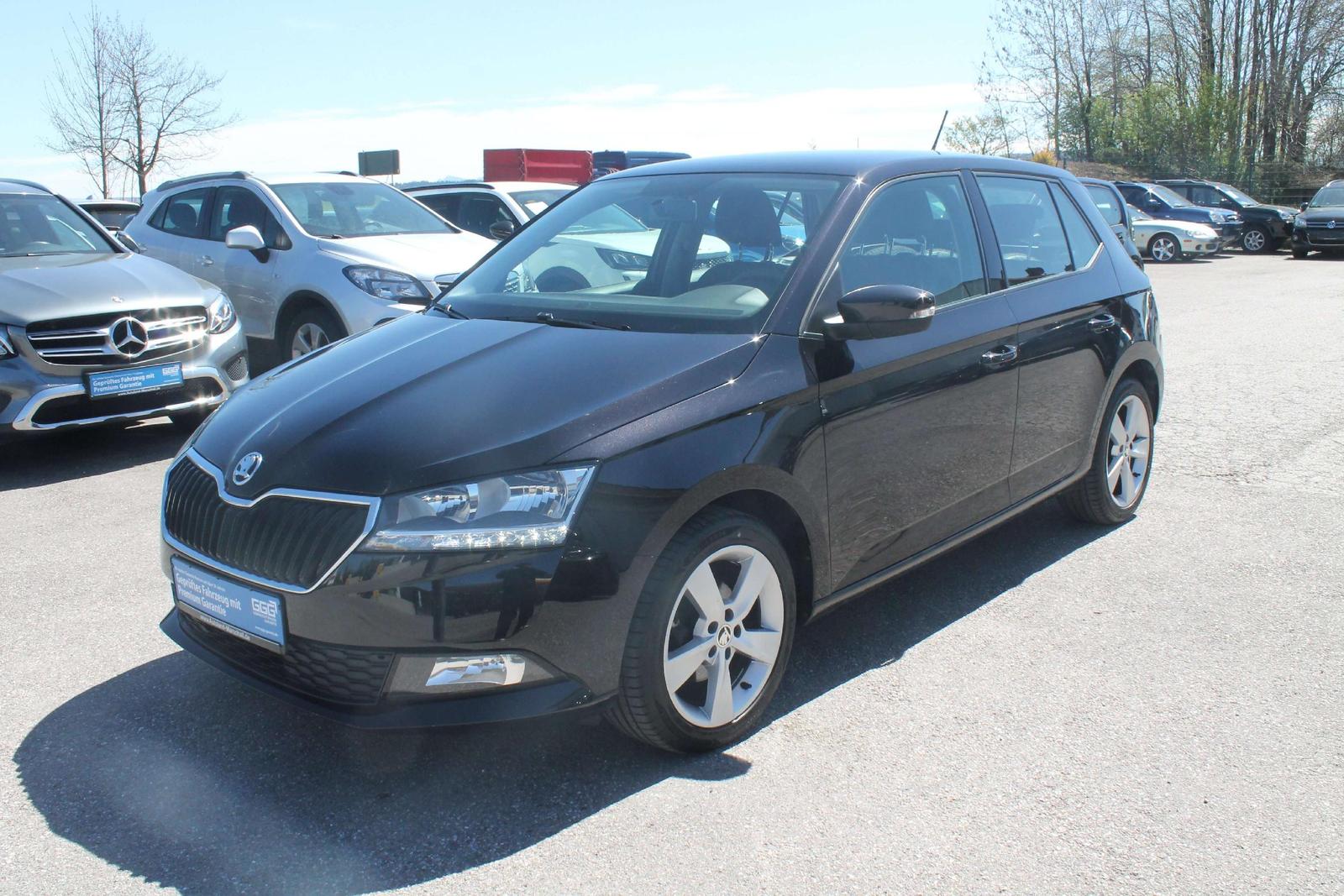 Skoda Fabia 1.0 TSI PDC KLIMA ALU SHZ EURO 6