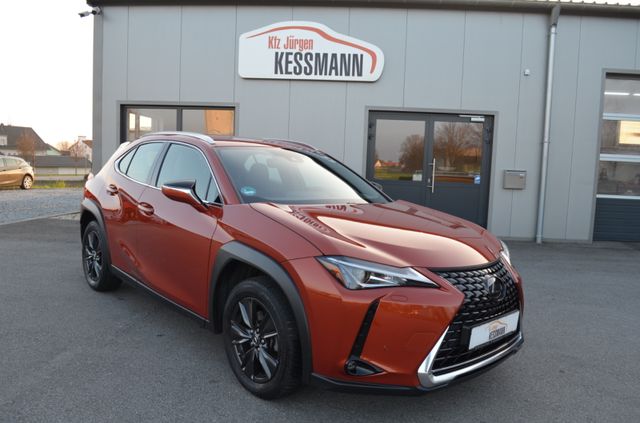 Lexus UX 200 Launch Edition Navi LED Kamera ACC