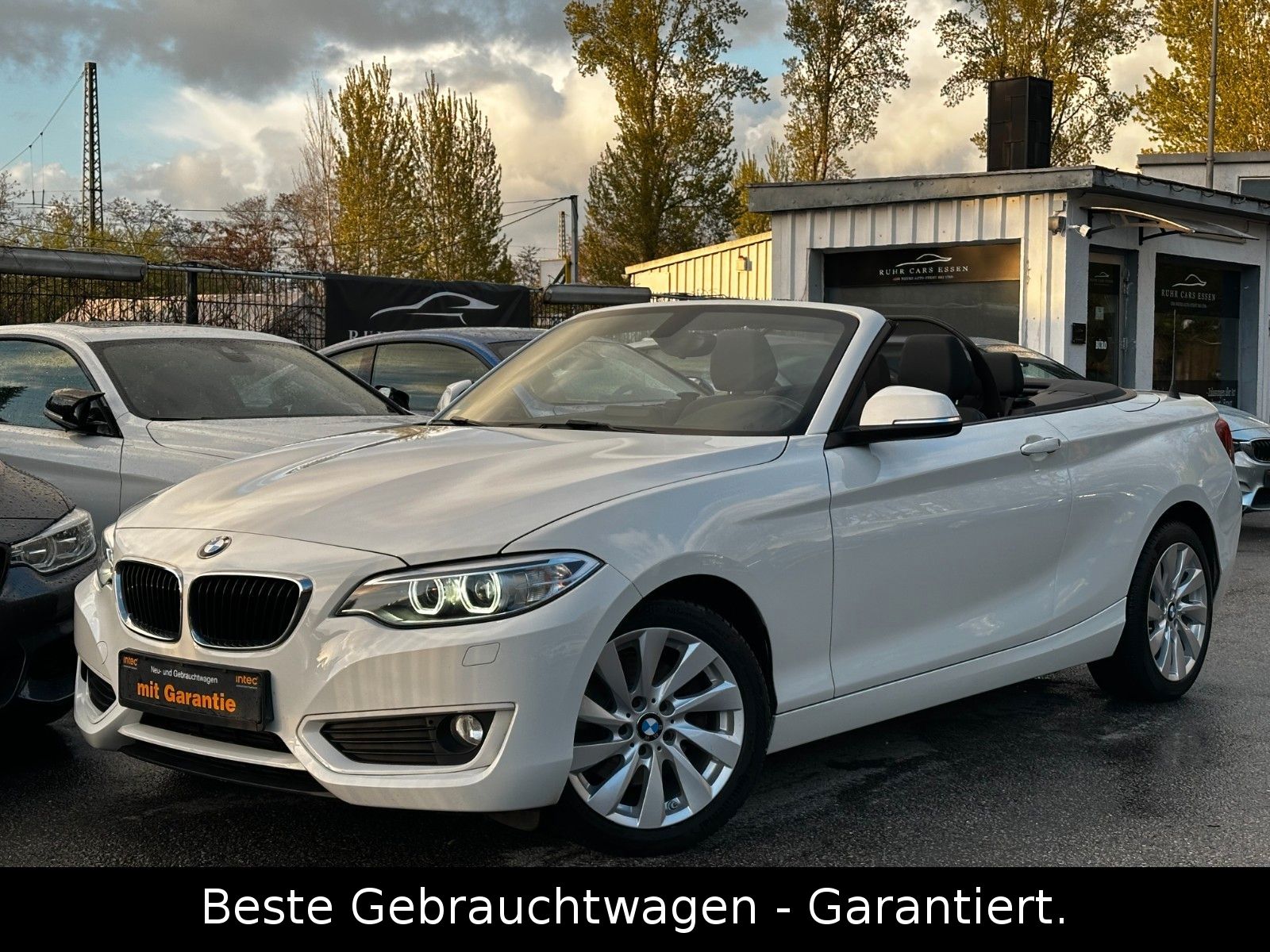 BMW 220i Cabrio Advantage * LED * 1 HAND * TOP GEPFL