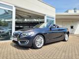 BMW 220 220d Luxury Line*Bi-Xenon*Sport-Fahrwerk*Spo - schwarze BMW 2er Reihe