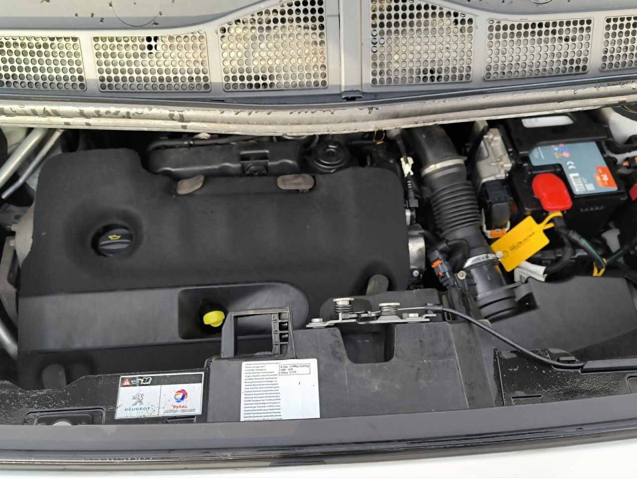 Fahrzeugabbildung Peugeot Expert Kasten Premium L2 / M - AHK uvm.