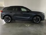 Cupra CUPRA Terramar VZ 2.0 TSI DSG 4x4 PANO+NAVI - Cupra Terramar Gebrauchtwagen