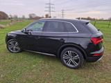 Audi Q5 50 TDI tiptronic quattro - - Audi Q5 Gebrauchtwagen in Köln