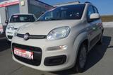 Fiat Panda Lounge - Fiat Panda LOUNGE mit Benzin-Antrieb
