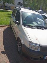 Fiat Panda - Fiat Panda Gebrauchtwagen in Bremen