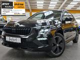 Skoda Kamiq 1,0 Monte Carlo el. Anhängerk. Sicherheit