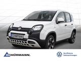 Fiat Panda EU6d 1.0 Mild Hybrid City Plus DAB+ - gebrauchte Fiat Panda aus dem Jahr 2023