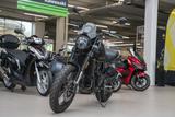 Benelli Leoncino 500 Trail, unfallfrei, Lieferservice - Offers