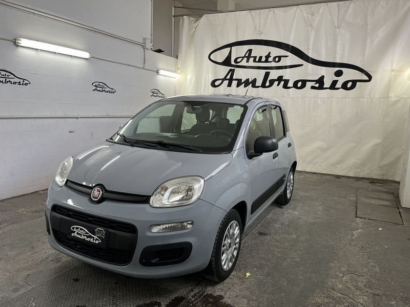 Image of Fiat Panda