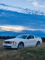 Ford Mustang - Ford Mustang aus 2006