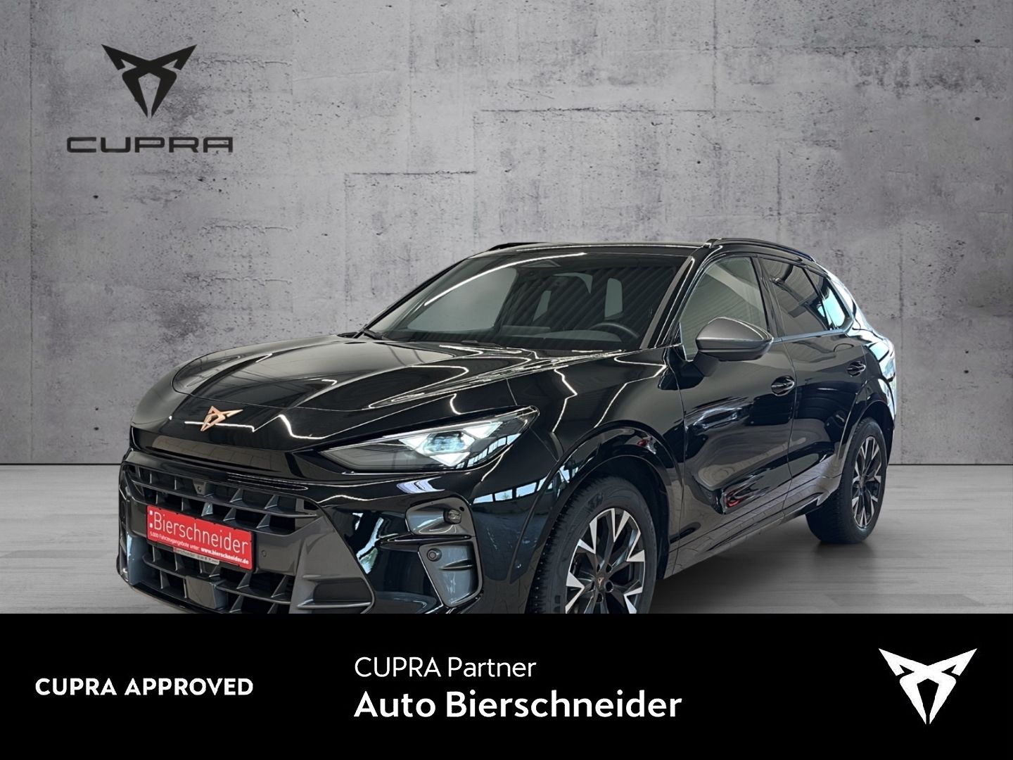 Cupra Terramar 1.5 eTSI DSG ab 269,- EUR 990,- Anz. TO