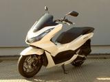Honda PCX125 wenig km - HONDA PCX