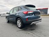 Ford Kuga 1.5 Cool & Connect SPUR NAVI PDC LKH EU6d - Ford Kuga: 1.6