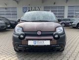 Fiat Panda 1.2*Cross*Trussardi*Klima.Aut*ELFH*MFL*PDC - Fiat in Oldenburg